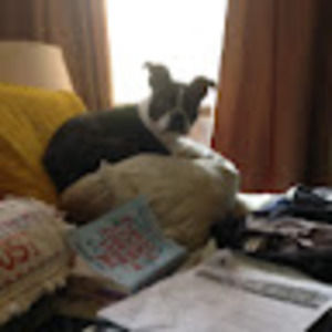 Meet your Posher, Jack